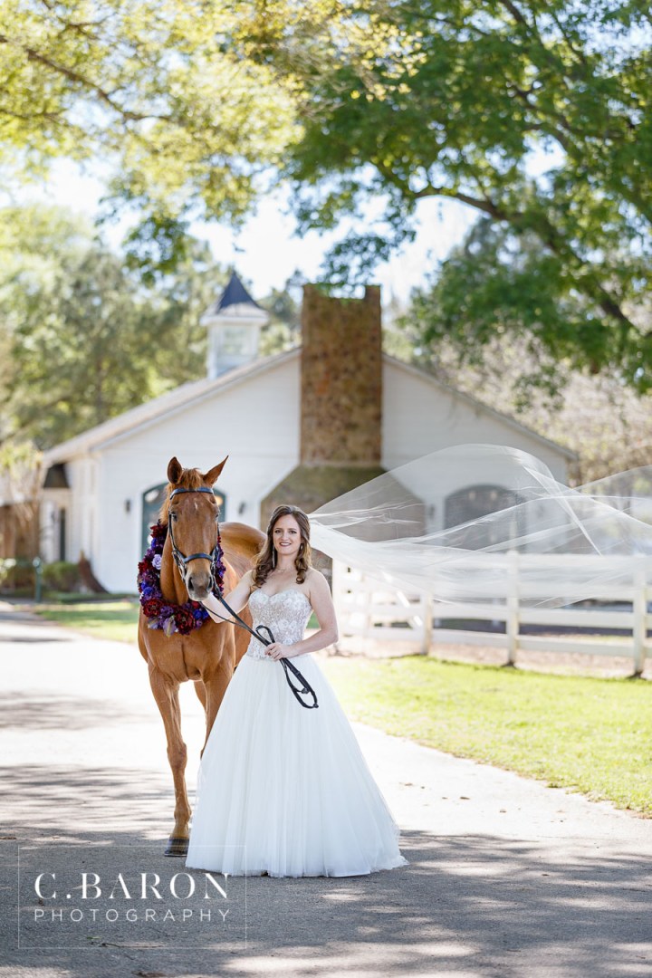 Bridals; C. Baron Photography; Dressage horse; Formals; Houston wedding Photographer; Princess Gown; Spring; Stables; Texas; Tomball; Woodlands Wedding Photographer; horse;