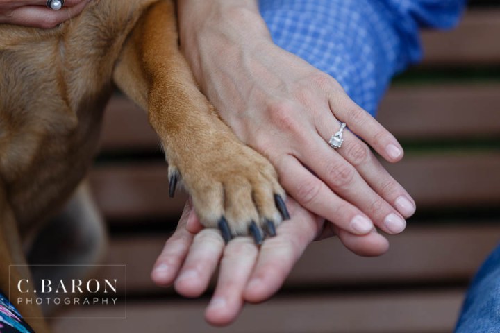 http://www.cbaronphotography.com