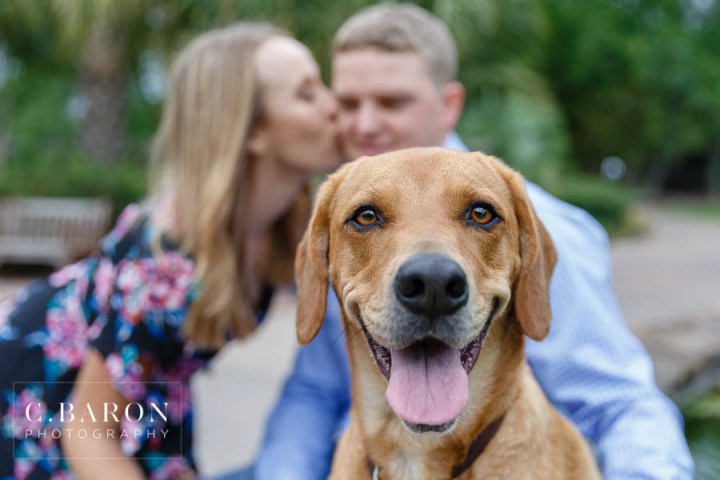 C. Baron Photography; Dog; Engagement session; Fur Baby; Houston Engagement Photographer; Nature; Park; Spring; Swamp; Woodlands Engagement Photographer;