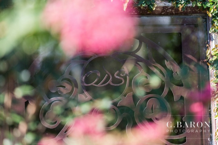 Bridals; C. Baron Photography; Formals; Houston wedding Photographer; Montgomery County Texas; Olde Dobbin Station; Woodlands Wedding PHotographer. summer; Woodlands Wedding Photographer; window light;