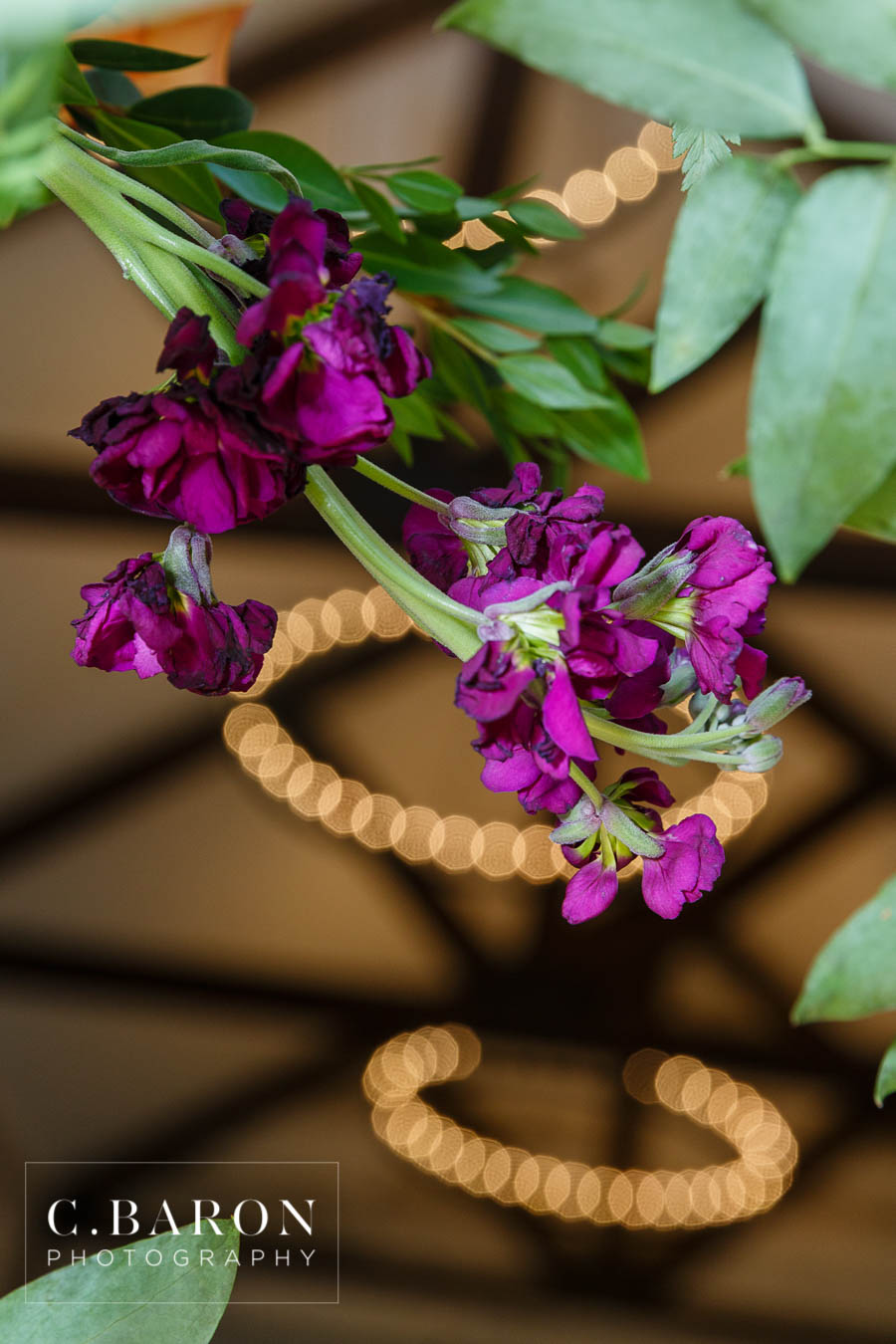 Big Sky Barn; Bubble Leave; Bubbles; C. Baron Photography; Chapel; Conroe; Houston wedding Photographer; Montgomery; Rustic; Sunday afternoon; Texas; Woodlands Weddings; chandeliers; stretch limo; summer;