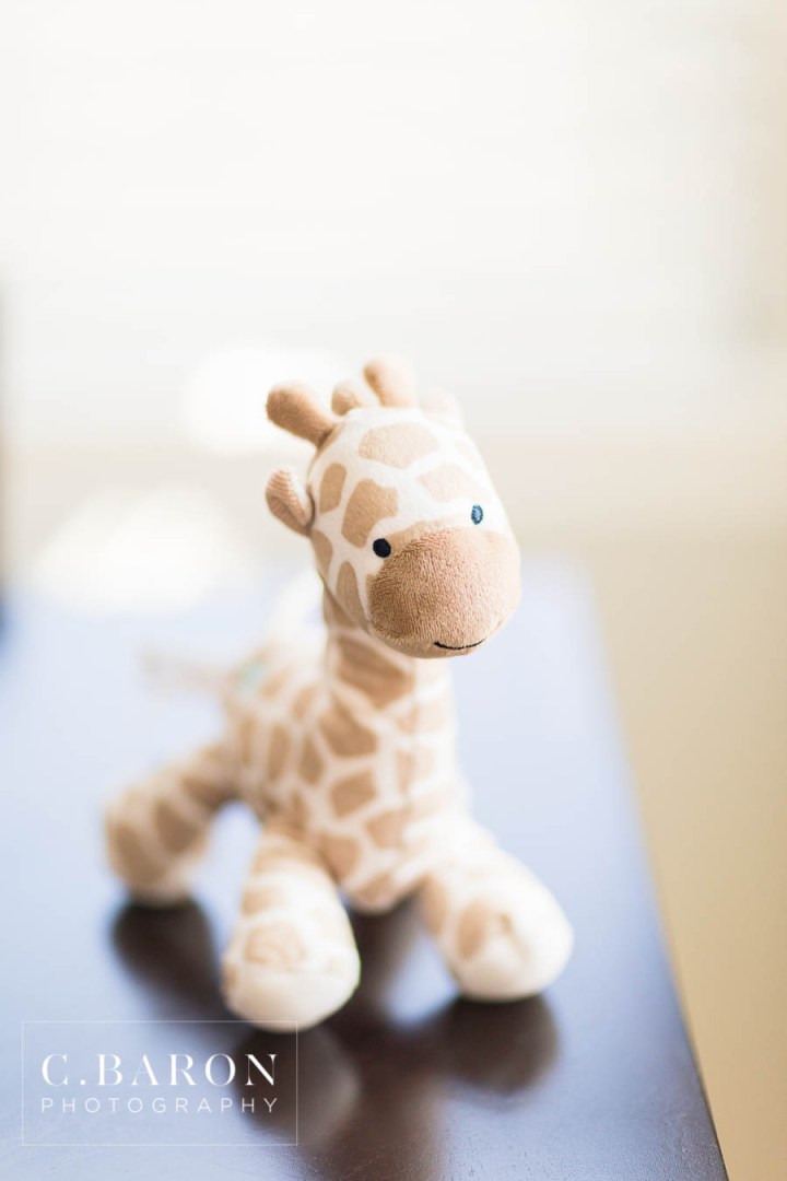 At Home Newborn session; C. Baron Photography; Family Photographer; Family Portraits; Houston Texas; Houston baby Photographer; Lifestyle Photography; Newborn Photographer; Nursery; Pink; Target; Texas Photographer; Wild Forever Nursery; farmhouse style; sunflowers;