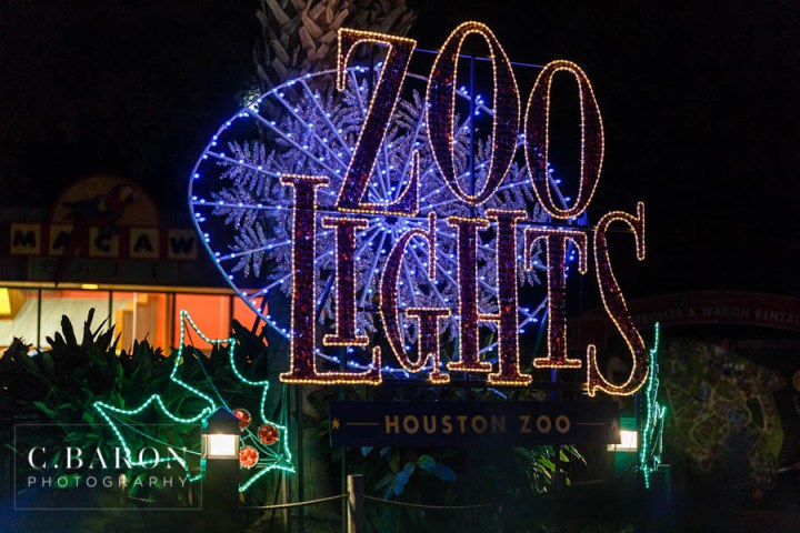 Anniversary session; C. Baron Photography; Christmas lights; Engagement session; Happy Holidays; Houston Engagement Photographer; Houston Texas; Houston Zoo; Houston wedding Photographer; Merry Christmas;