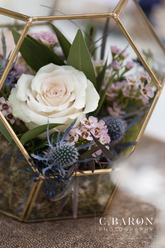 Bed & Breakfast; C. Baron Photography; Cafe Lights; Ceremony under the tree; Historic House; Houston Wedding Photographer; Houston Weddings; Macarons; Night reception; Oak Tree Manor; Outdoor reception; Roses; Sparkler Leave; Texas weddings; Twinkle lights; navy;