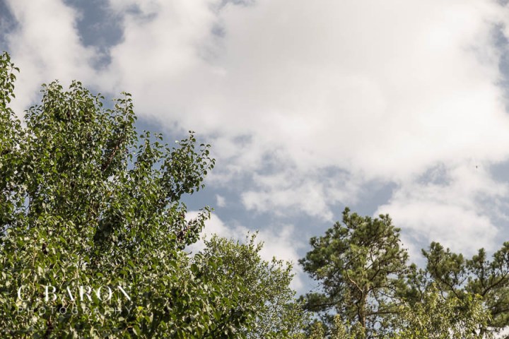 Aqua; Blue; C. Baron Photography; Dueling Pianos; Houston wedding Photographer; Owls; Rice Alumni; Tropical theme; Turquoise; backyard tent; backyard wedding; cake; cake details; cake table; champagne; champagne glasses; personal residence; summer;