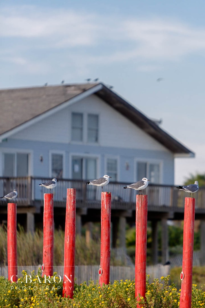 C-Baron-Photo-Beach-Engagement-Shannon-TJ-111