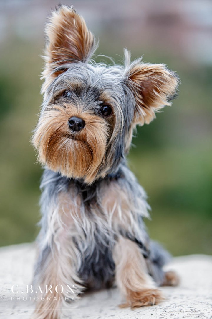 C-Baron-Photo-Houston-Engagement-Sarah-Matt-106