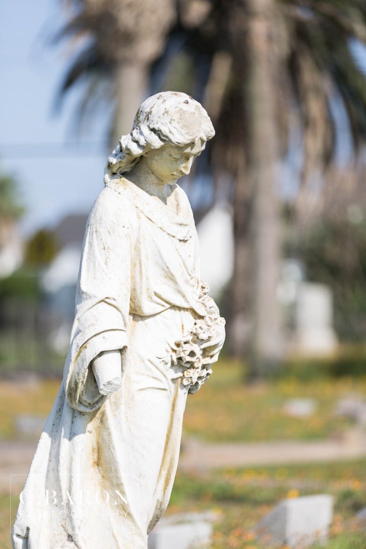 A finer Event; Black wedding cake; Brazos Avenue Market; C. Baron Photography; Cakes by Jula; Editorial; First German church in Texas; Galveston HIstorical Foundation; Galveston Wedding Photographer; HH Design House; Haute Flowers; Historic; JMI Events; LBL Event Rentals; Made You Blush; Oldest wooden church in Galveston; Spring coreopsis; St. Joseph's Catholic Church; black cake; black dress; cake cutting; cemetery; palm tree; something blue bridal; styled shoot; tombstones;