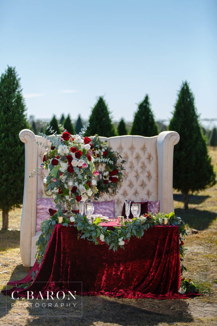 C. Baron Photography; Christmas; Christmas Trees; Elegant; Gold; Greenery; Houston wedding Photographer; Impression Bridal; Long Sleeve; Luxury; Pink; Rannunculus; Red; Roses; Simone Carvalli 90271; Texas; The perfect touch linens; Urban Invites; Wedding; blush; caliigraphy; champagne; cranberry; crimson; crystal; farm; formal; glamourous; gold leaf cake; holiday; hydrangea; lace; lambs ear; low back; luxurious; macarons; outdoors; protea; ribbons; scarlet; sparkle; tea cart; train; velvet; winter; winter berry brunia;