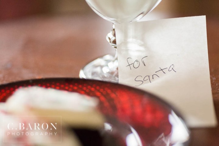 Ballerina; C. Baron Photography; Christmas Tree; Christmas lights; Christmas with santa; Happy Holidays; Houston Family Photographer; Houston Pet Photographer; Kids with santa; Merry Christmas; Nutcracker; Ornaments; Presents; Santa pictures; cockapoo; the big man; white poodle;