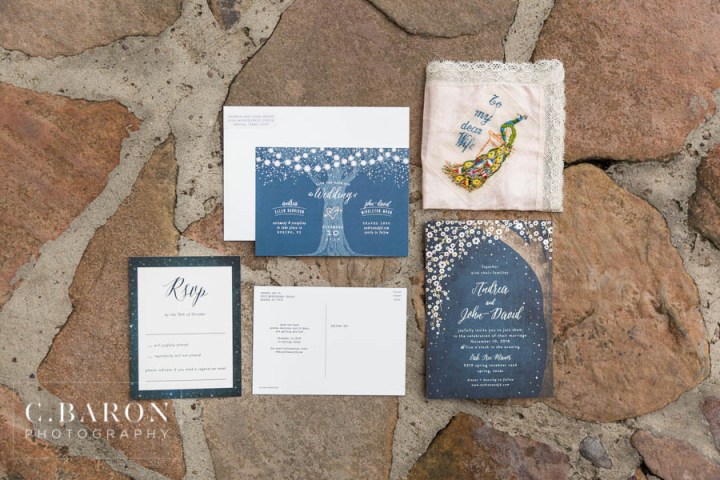 C. Baron Photography; Houston Weddings; Houston wedding Photographer; Live Oak Tree; Oak Tree Manor; Outdoor Ceremony; Sparkler Leave; Texas Weddings; Velveteen Rabbit; Wedding Converse; lights in trees; sci-fi grooms cake; sunflowers;