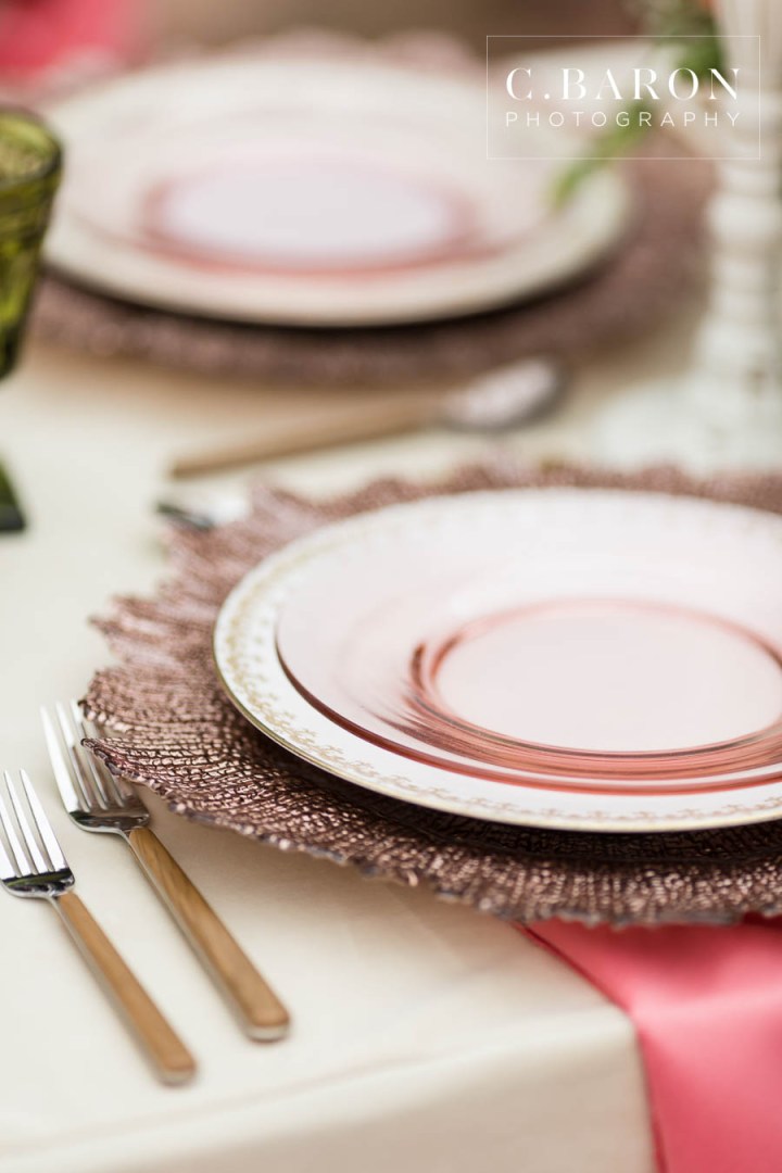 African-American; Alpaca; Animals at Weddings; C. Baron Photography; Gold; Houston Gay Weddings; Houston wedding Photographer; Ivory; Living Coral; Pantone Color of the Year 2019; Peach; Pets at Weddings; Pretty; Roses; Same Sex; Texas Weddings; The Gallery; White Alpaca; green;