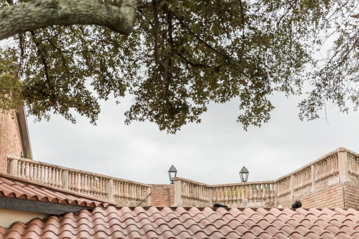 African-American; Alpaca; Animals at Weddings; C. Baron Photography; Gold; Houston Gay Weddings; Houston wedding Photographer; Ivory; Living Coral; Pantone Color of the Year 2019; Peach; Pets at Weddings; Pretty; Roses; Same Sex; Texas Weddings; The Gallery; White Alpaca; green;