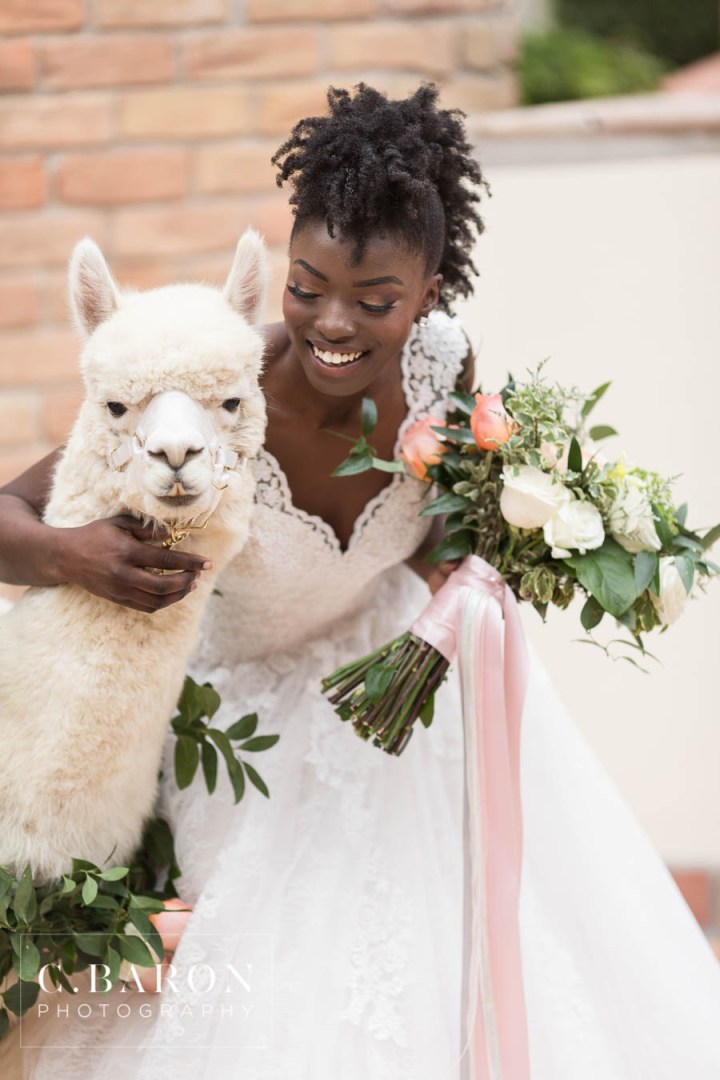 African-American; Alpaca; Animals at Weddings; C. Baron Photography; Gold; Houston Gay Weddings; Houston wedding Photographer; Ivory; Living Coral; Pantone Color of the Year 2019; Peach; Pets at Weddings; Pretty; Roses; Same Sex; Texas Weddings; The Gallery; White Alpaca; green;