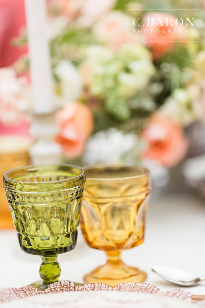 African-American; Alpaca; Animals at Weddings; C. Baron Photography; Gold; Houston Gay Weddings; Houston wedding Photographer; Ivory; Living Coral; Pantone Color of the Year 2019; Peach; Pets at Weddings; Pretty; Roses; Same Sex; Texas Weddings; The Gallery; White Alpaca; green;