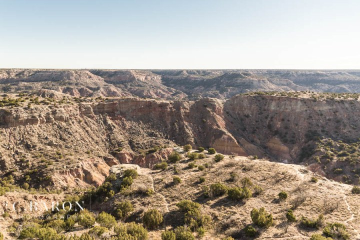 Burgandy; C. Baron Photography; Houston wedding Photographer; Magnolia Texas; Maroon; Merlot; Outdoor Ceremony; Springs Events; Texas Weddings; The Springs in Magnolia; Winter Wedding;