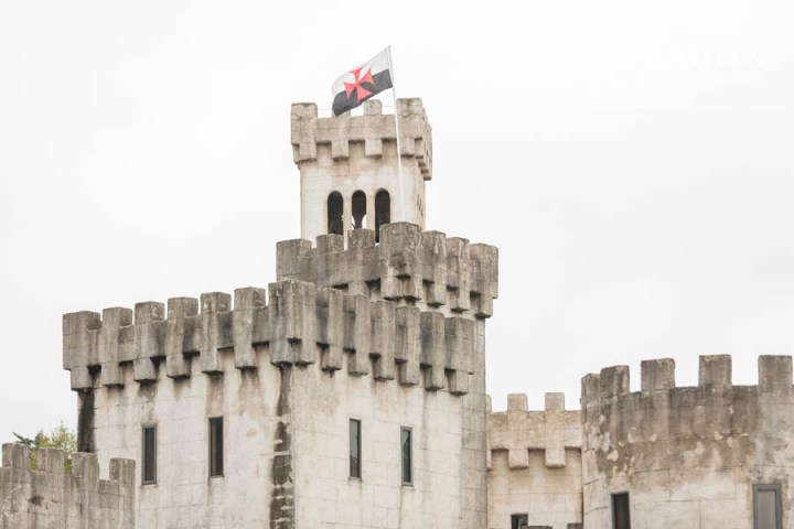 Black Scabiosa; C. Baron Photography; Cascade Bouquet; Daenerys Targaryen; Dahlia; Dal; Dragon Eggs; Edible Moments TX; Editorial. Castle; Elemental Floral; Game of Thrones Wedding Inspiration; Gold Cymbidium Orchids; Hand of the King; Houston Weddings; Irish Wolfhound; My Urban Invites; Sweet Tea & Linen; Sword; Texas Weddings; blonde; braid; dagger; flutter sleeves; goblets; jon snow; medieval; pleat; red roses; renaissance;