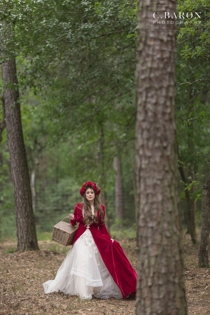 Blue eyes; Blush gown; C. Baron Photography; Cape; East Texas; Grey wolf; Handkerchief hem; Houston Wedding cinematographer; Houston wedding Photographer; Husky; Pets at Weddings; Picnic; Picnic basket; Pine forest; Red Ribbon; Red Riding Hood Wedding Inspiration; Red Velvet robe; Texas Weddings; Wedding inspiration with dog; Wolf; Wolfdog; big bad wolf; flower crowns; red roses; wolf hybrid; woods;