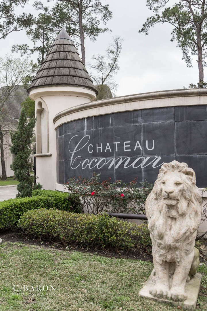 Asian Weddings; C. Baron Photography; Chateau Cocomar; Cultural weddings; Formal Couple portraits; Houston Texas; Houston wedding Photographer; Multiple Gowns; Texas Weddings; winter;