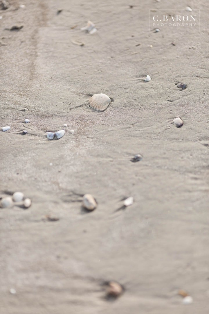 Beach; C. Baron Photography; Dogs at Engagement session; Galveston Engagement Photographer; seaside session; sunny day;