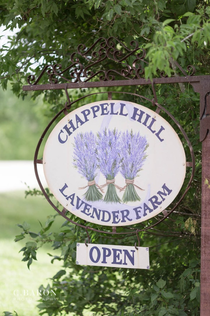 Pretty Maternity session at Lavender Farm near Houston Texas
