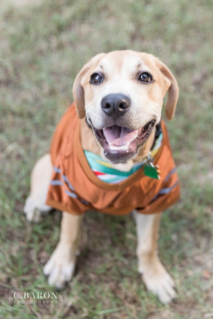 C. Baron Photography; Dog; Engagement; Hook 'em; Houston Engagement Photographer; Nature; Park; Spanish Moss; UT; University of Texas;