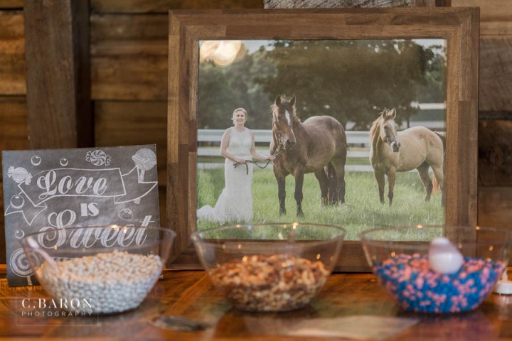 Fun Summer Wedding at Big Sky Barn in Montgomery Texas near Lake