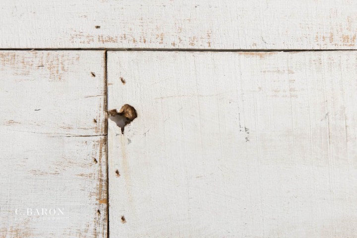 Fun Summer Wedding at Big Sky Barn in Montgomery Texas near Lake